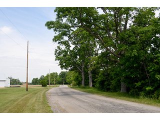 Property photo 98 - FARM & LAND AUCTION - 125+/- ACRES OFFERED IN 5 TRACTS IN EAST ALLEN COUNTY, INDIANA